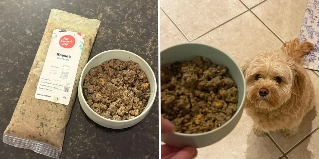 the farmers dog price